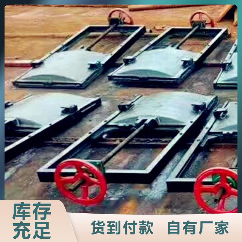 湘阴平面铸铁闸门生产厂家