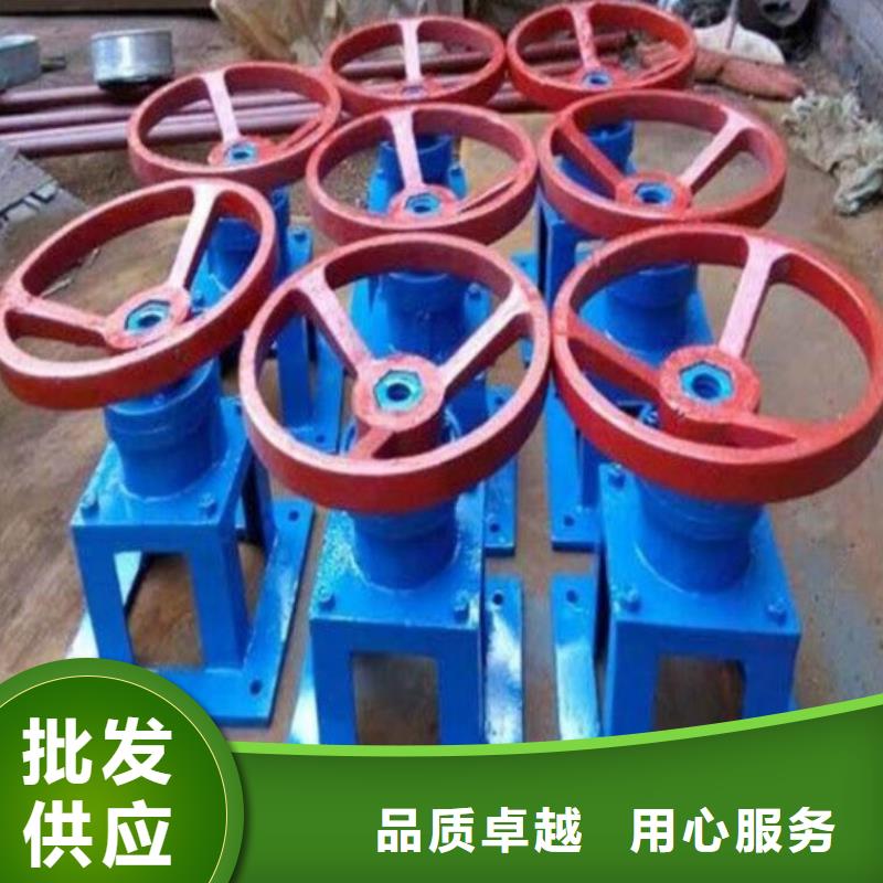 螺杆启闭机铸铁闸门使用寿命长久