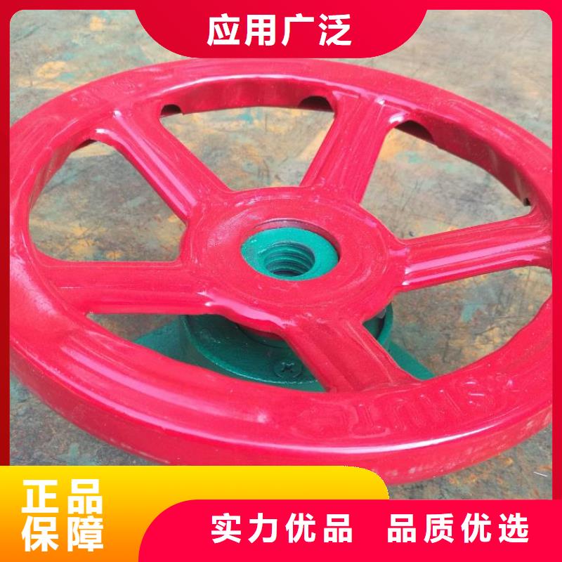 QLD-30KN手电两用螺杆式启闭机厂家报价