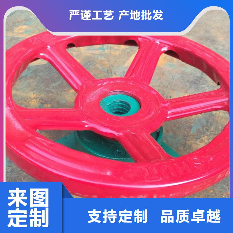10吨启闭机施工