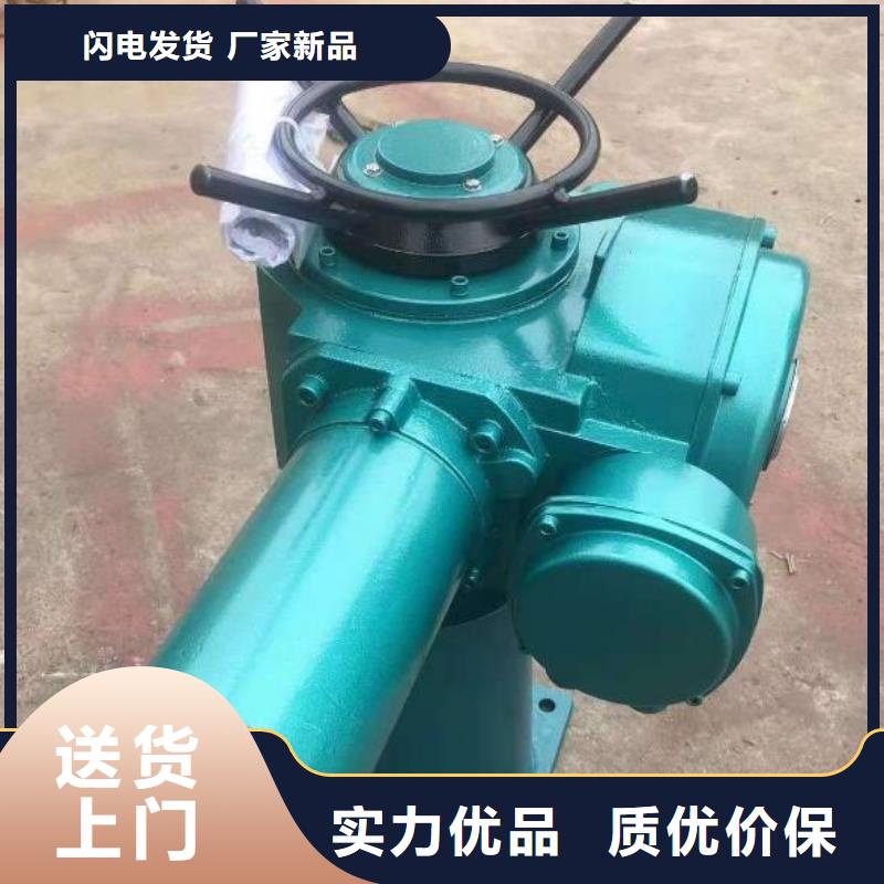 10吨启闭机施工