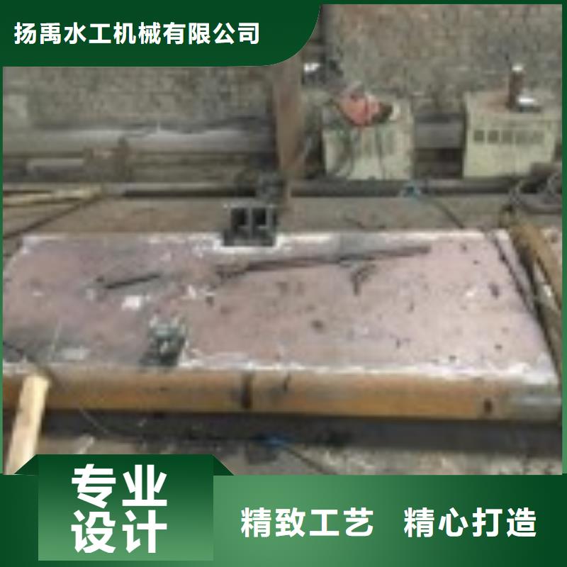 定轮钢闸门厂家现货