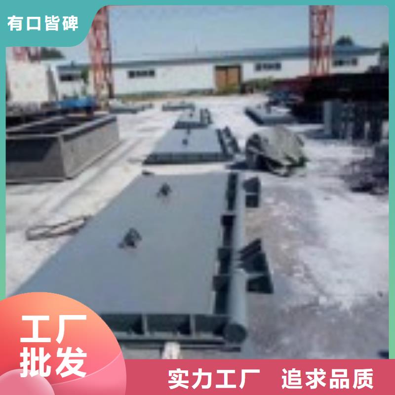 平面钢制闸门定制