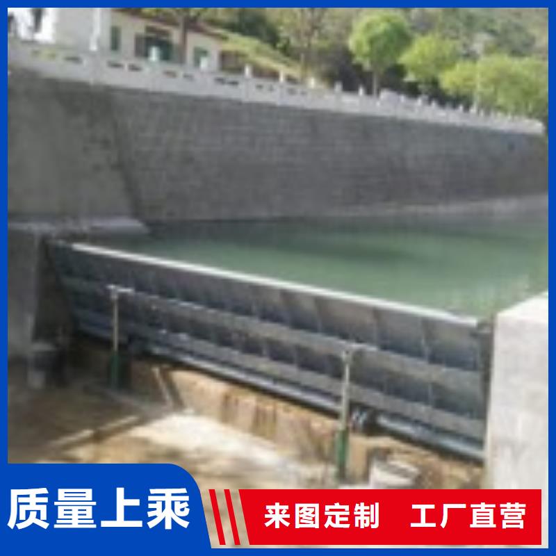 钢坝闸门实力雄厚