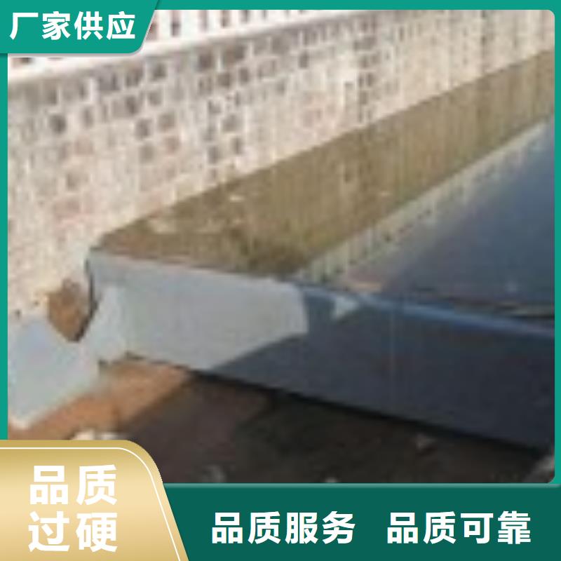 翻板闸门,钢制闸门支持拿样