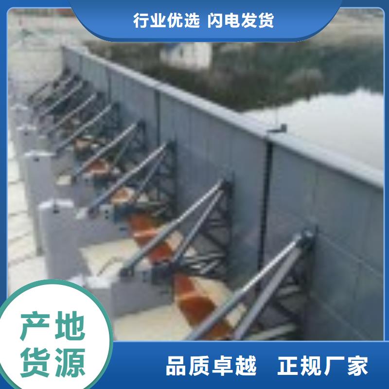 翻板闸门,钢制闸门支持拿样