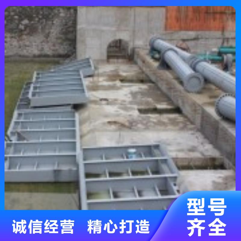 定轮钢闸门厂家现货