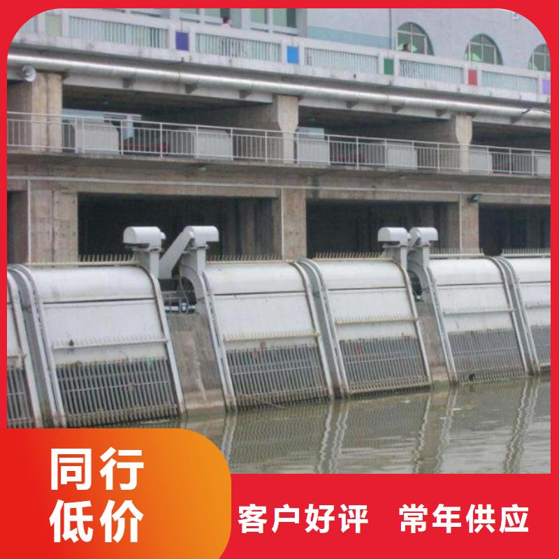 清污机扇形闸门质量无忧