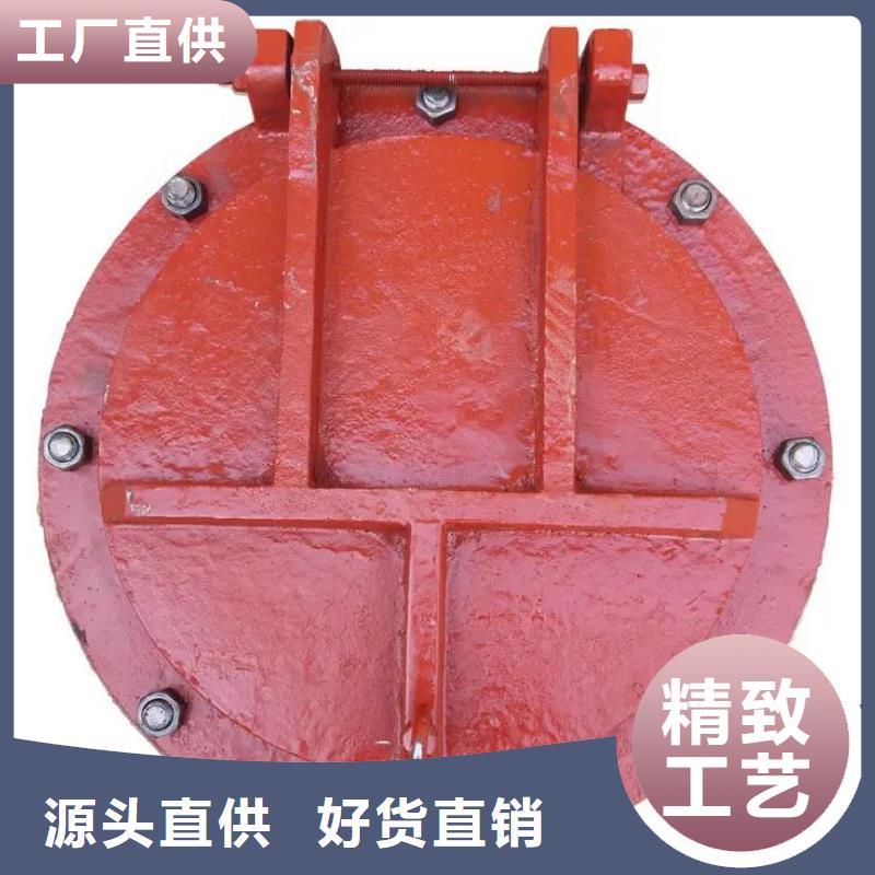 防倒灌拍门现货齐全