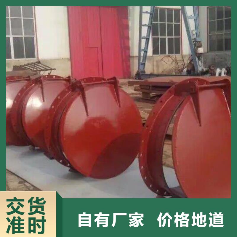 【拍门铸铁闸门厂家供应】