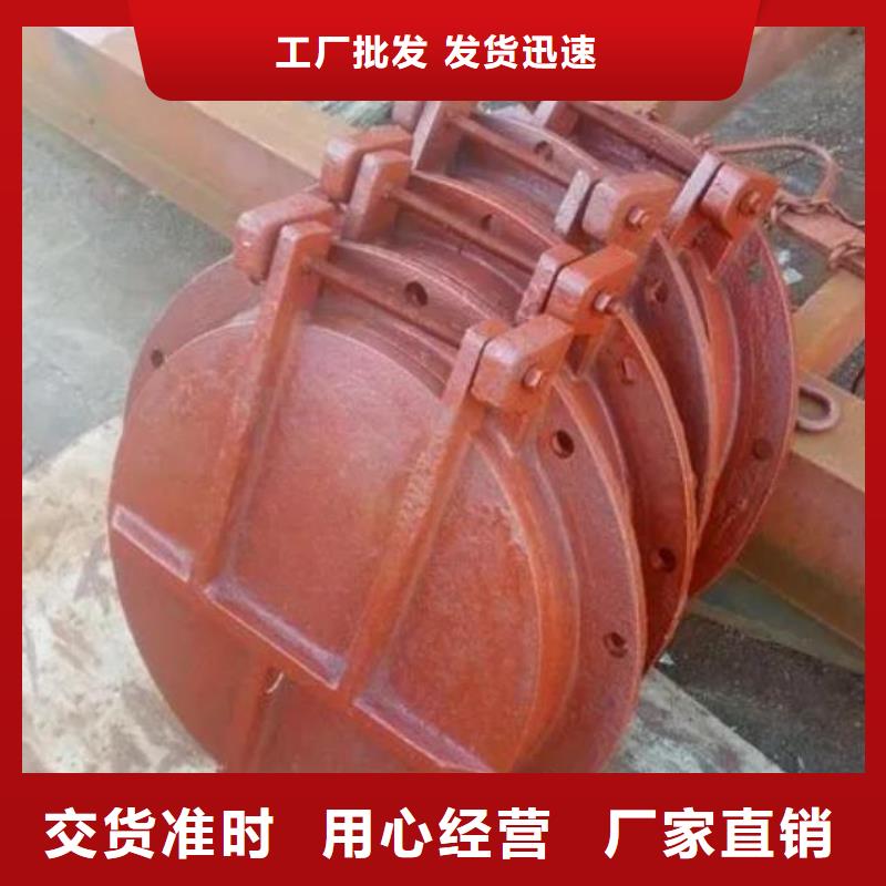 拍门-拦污栅多年厂家可靠