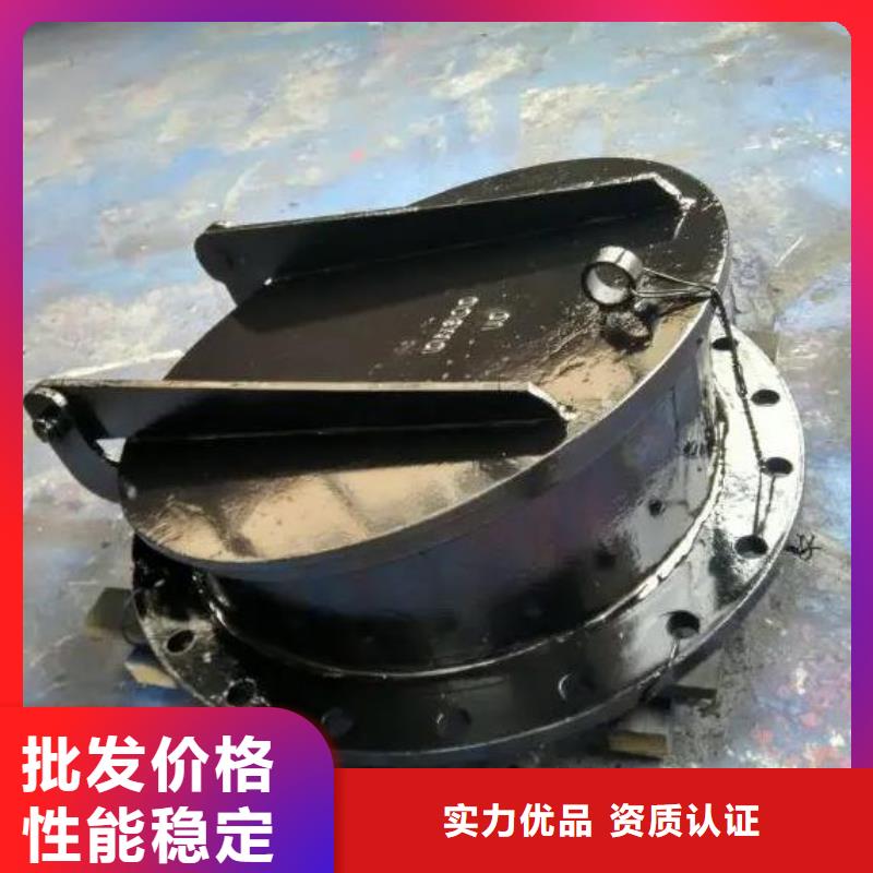 拍门-拦污栅多年厂家可靠