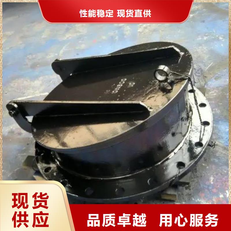 拍门铸铁闸门厂家厂家采购