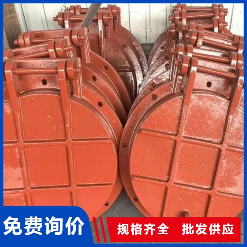 拍门铸铁闸门厂家经验丰富