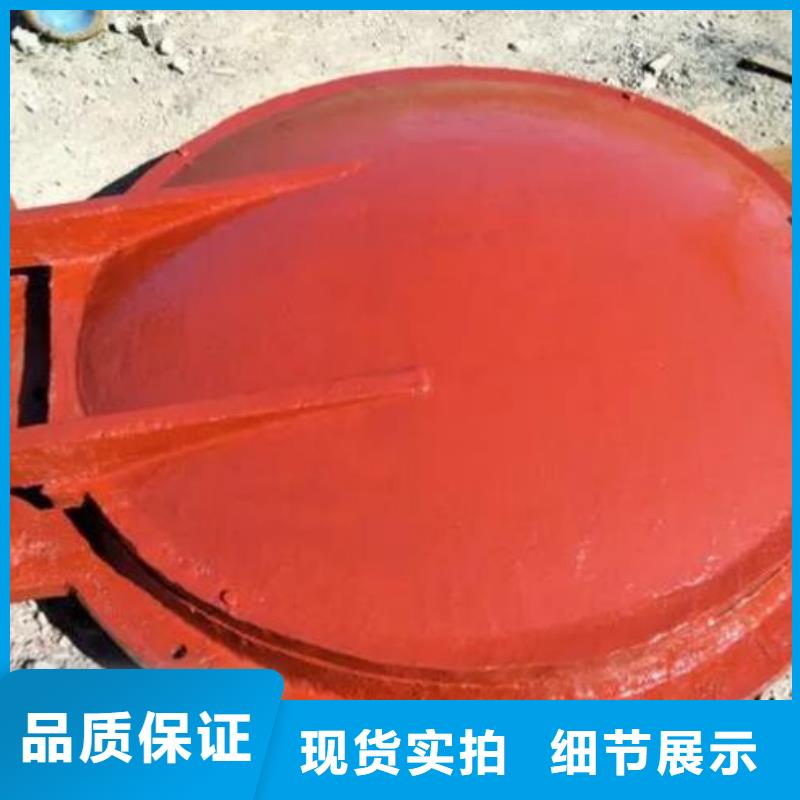 【拍门-铸铁闸门厂家本地配送】
