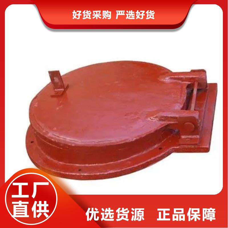 拍门-卷扬启闭机厂家精品优选