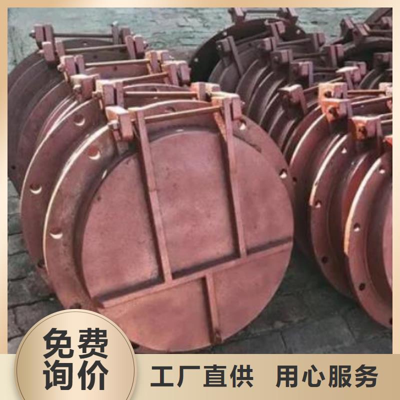 拍门-卷扬启闭机厂家精品优选