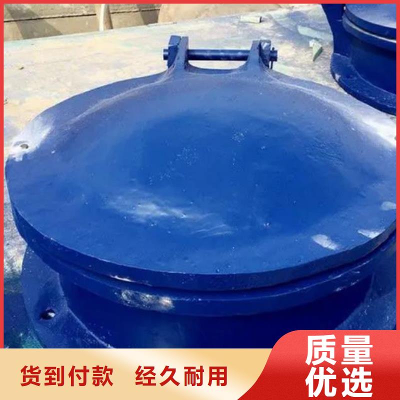 拍门-卷扬启闭机厂家精品优选