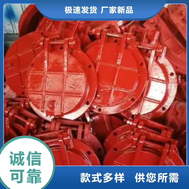 拍门齿耙式清污机工程施工案例