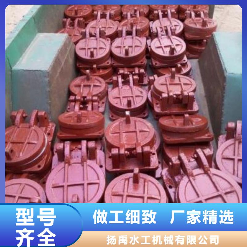 拍门铸铁拍门厂家精选