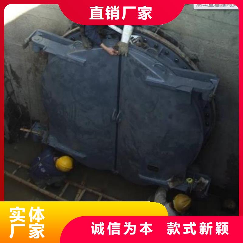 【拍门-铸铁闸门厂家本地配送】
