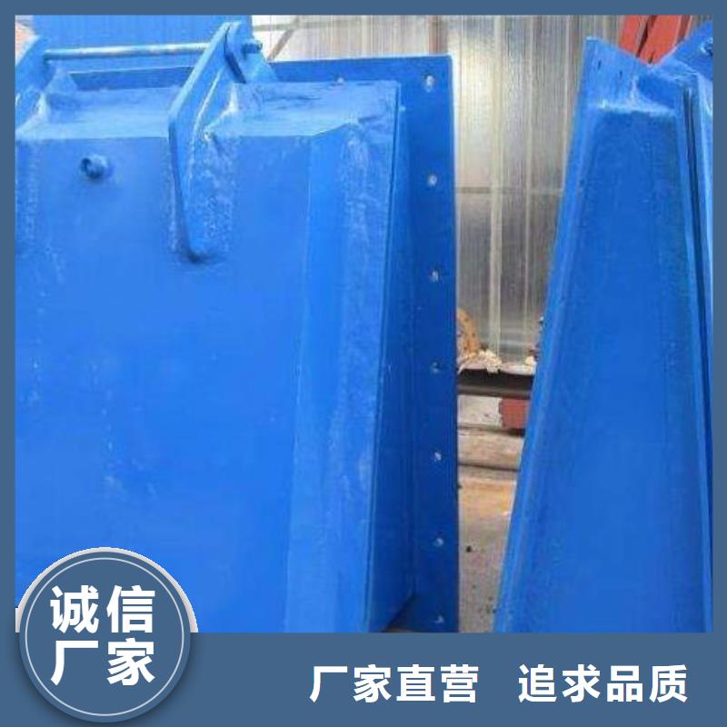 拍门-拦污栅多年厂家可靠
