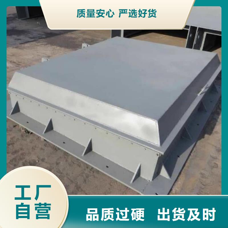 拍门铸铁闸门厂家经验丰富