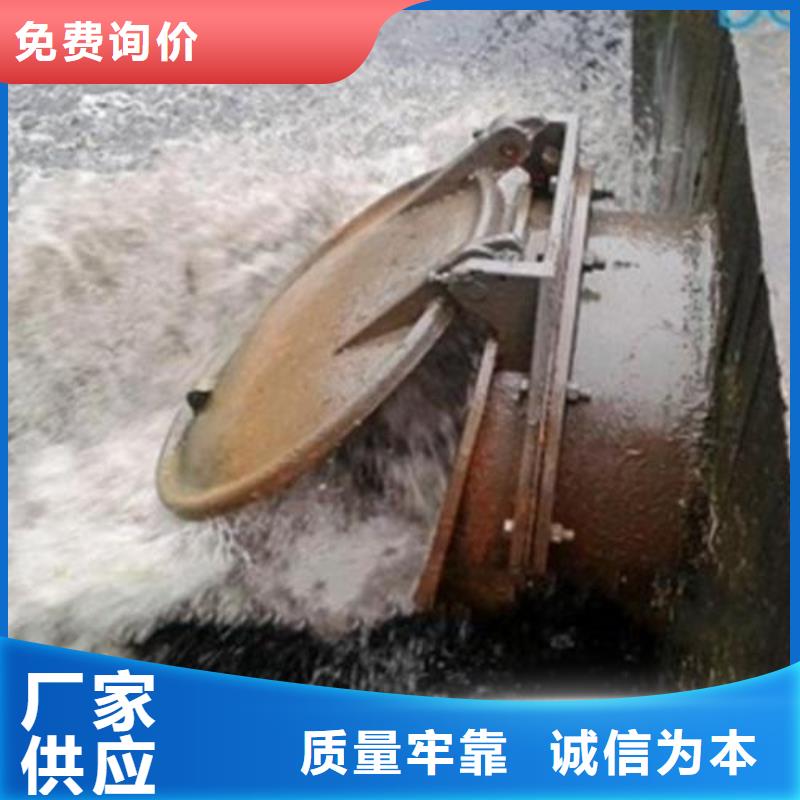 拍门铸铁拍门厂家精选