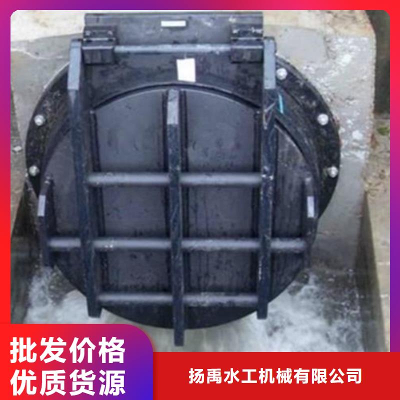 拍门,铸铁闸门源头厂家直销