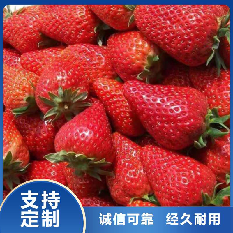 香蕉草莓苗