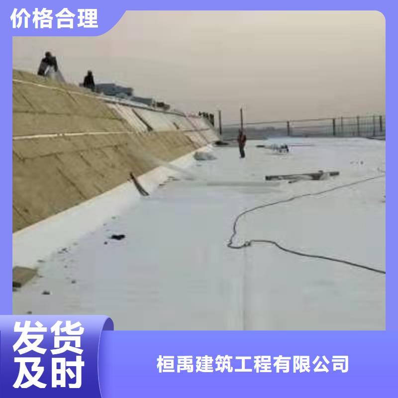PVCPVC防水卷材施工准时交付