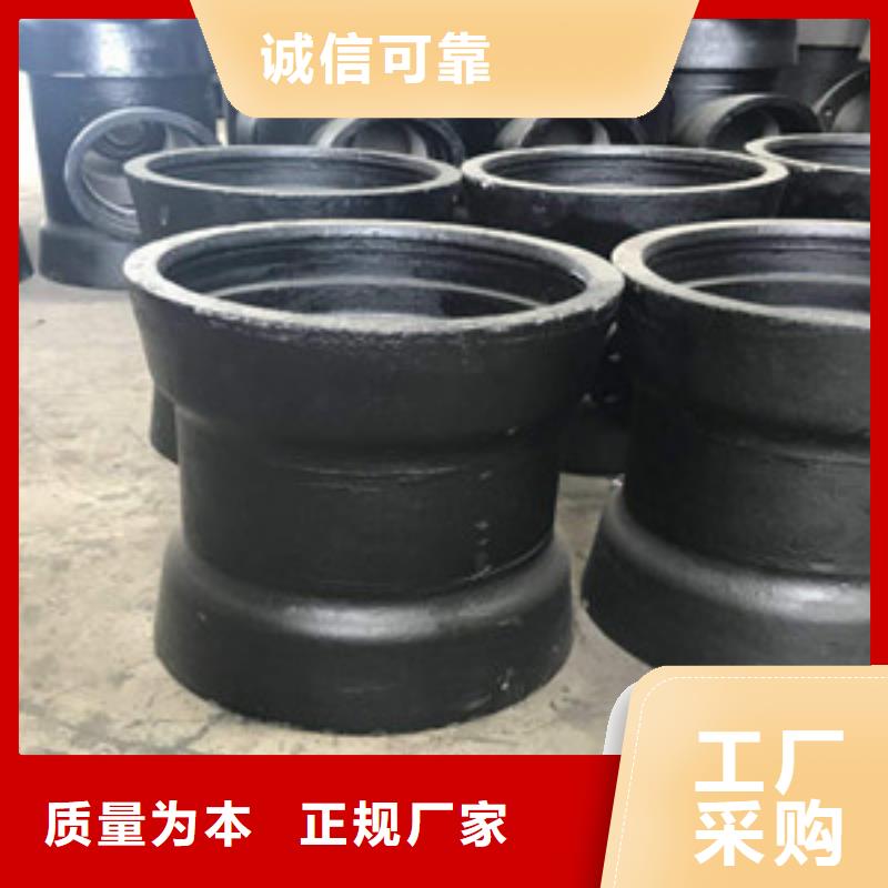 耒阳市DN100球墨铸铁管