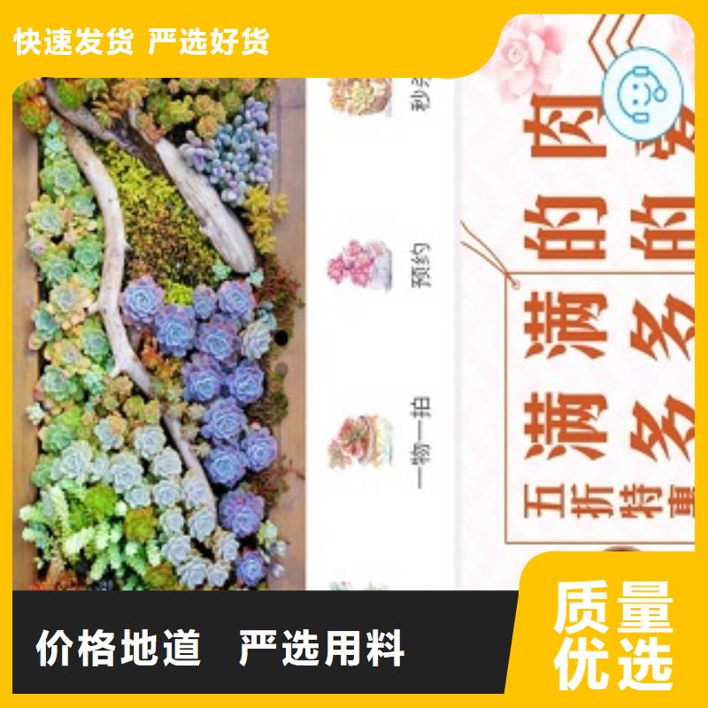 小程序制作