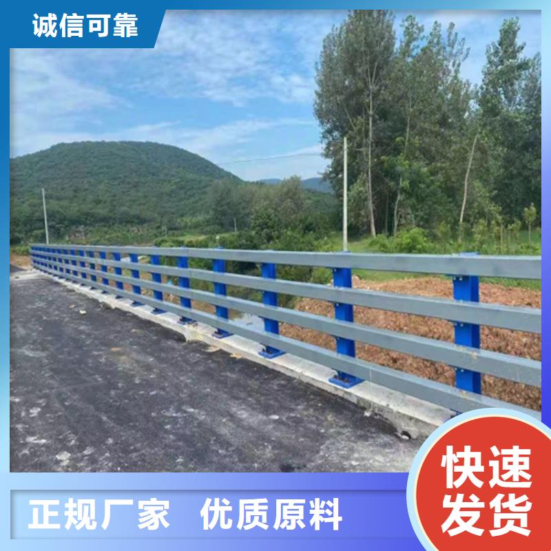桥梁护栏今日价格