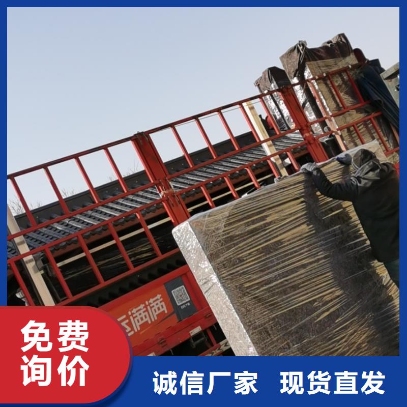 景区观光车候车亭全国发货