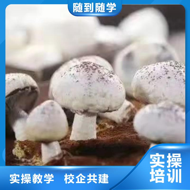 藁城糕点培训技校哪家强初中毕业学什么好
