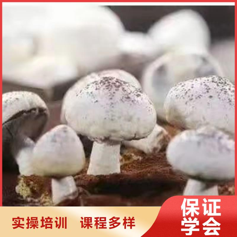 西点培训学校去哪好需要什么学历