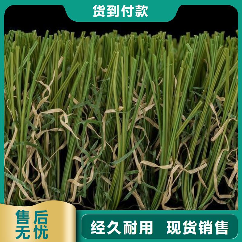 质优价廉的学校塑胶跑道PVC地板球场厂家供货商