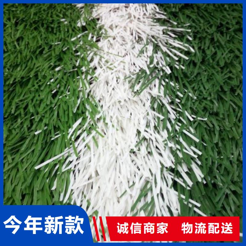 批发幼儿园塑胶跑道_优质厂家