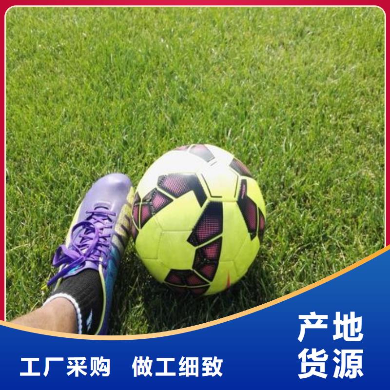 人造草坪绿化限时优惠