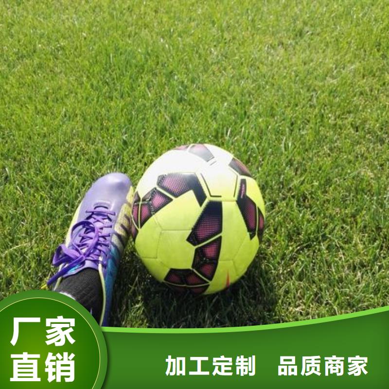 供应塑胶跑道建设_精选厂家