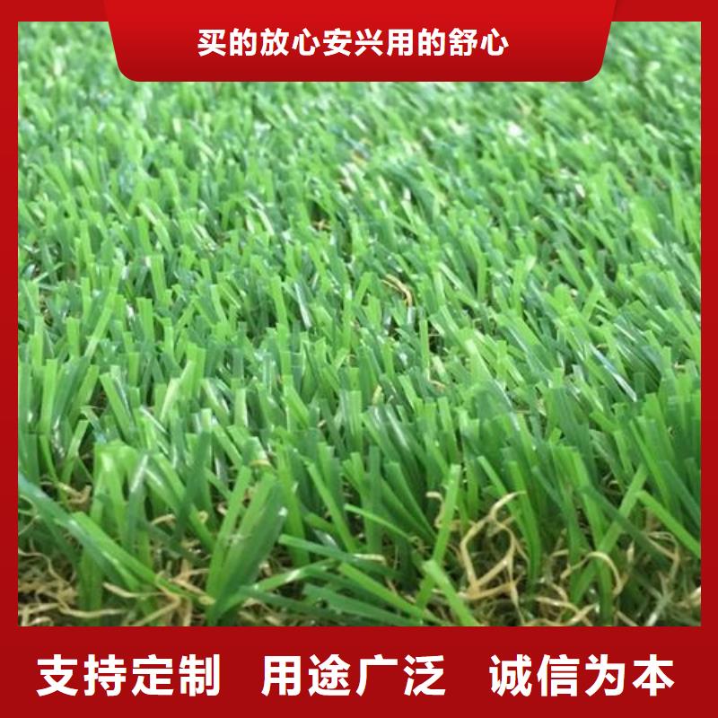 塑胶跑道,体育塑胶运动场源头厂源头货