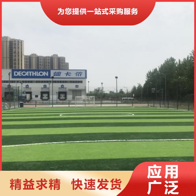 规格齐全的幼儿园塑胶跑道厂家公司