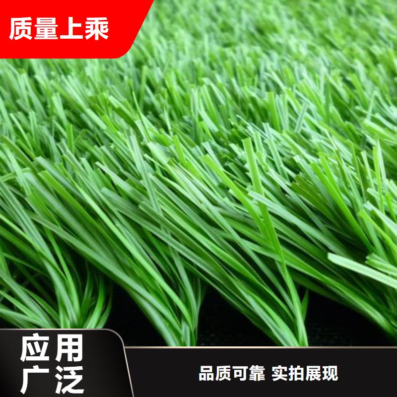 定做塑胶跑道厂家的当地厂家