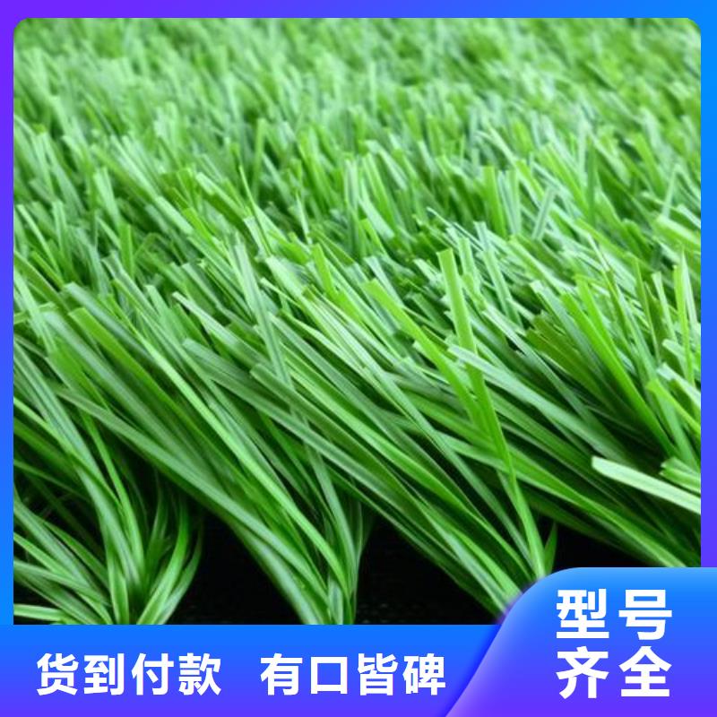 塑胶跑道幼儿园足球场品质信得过