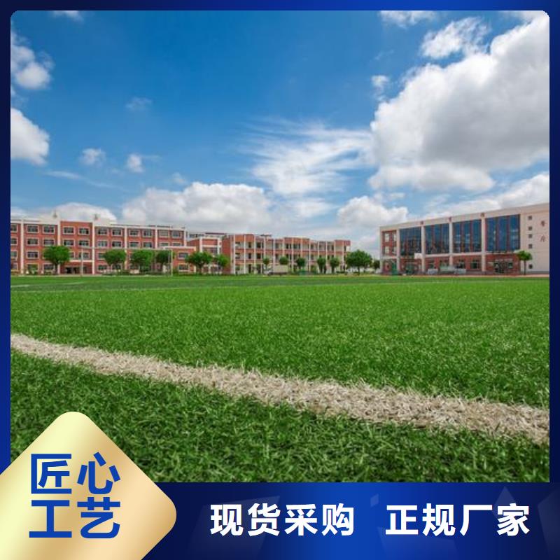 本地的幼儿园塑胶跑道厂家厂家