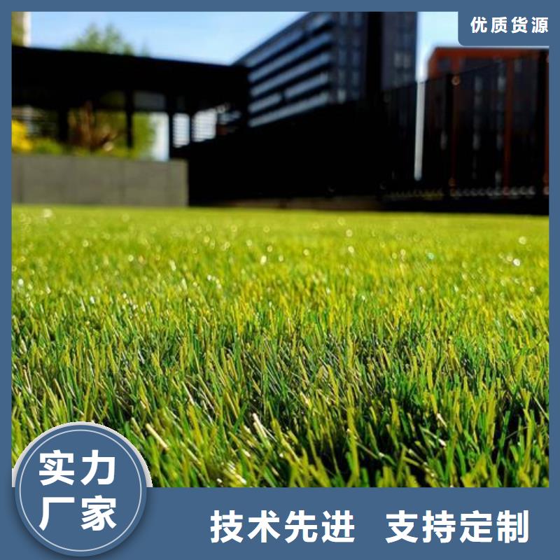 塑胶跑道生产厂家厂家-价格实惠