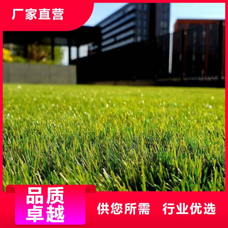 塑胶跑道工厂-厂家