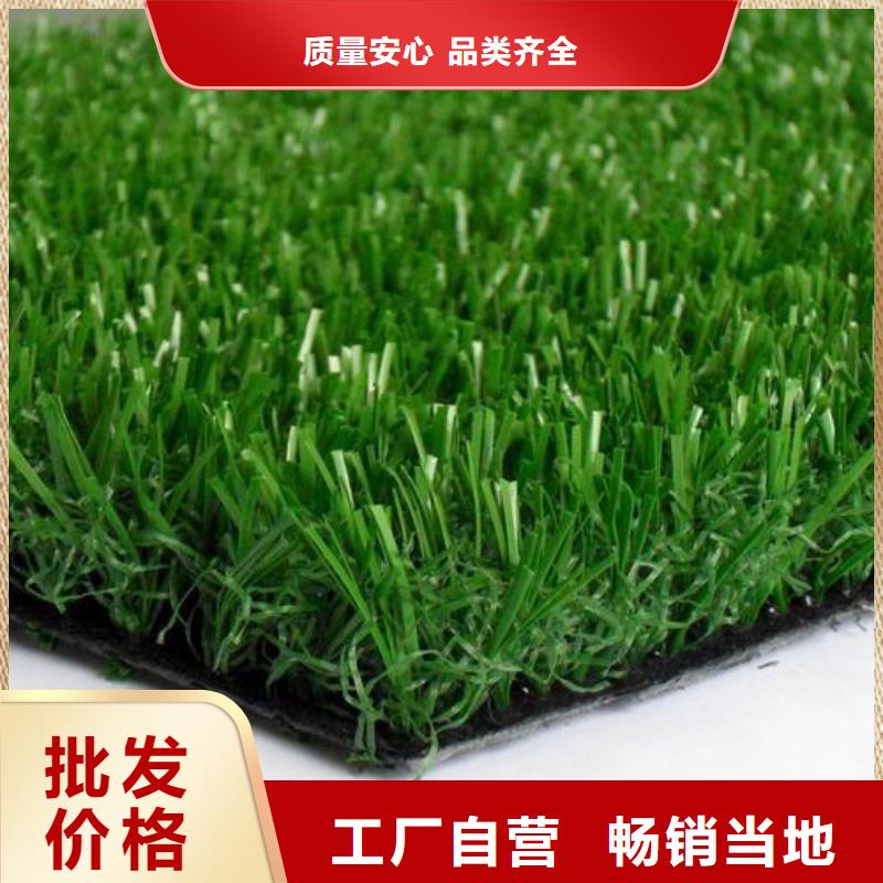 【塑胶跑道人造草坪批发工厂直营】