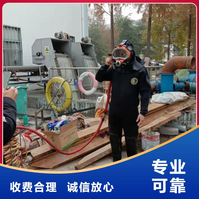 水下拍照录像公司-拥有潜水技术